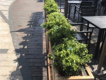 上海別墅庭院花園 從設計施工到綠化養(yǎng)護的全流程指南